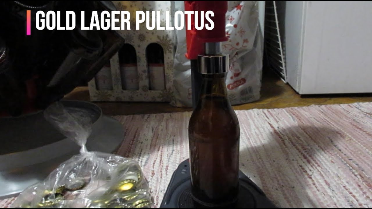Gold lager olutta 2/3 Lasipullotusta ja kruunukorkkeja