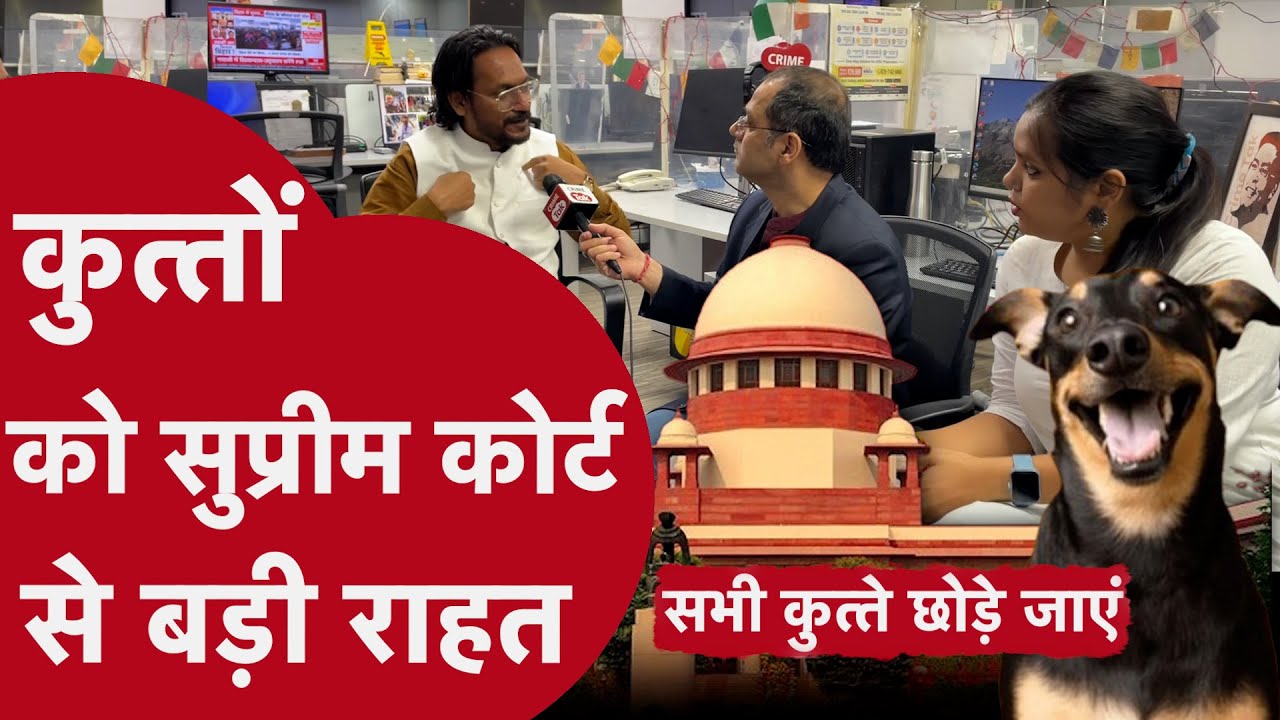 Supreme Court On Stray Dog: आवारा कुत्तों पर सुप्रीम कोर्ट का फैसला, कुत्ते छोड़े जाएंगे
