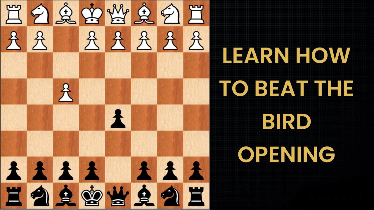 Neutralise all Gambits and Unusual Openings (part 4) Beat the Bird Opening