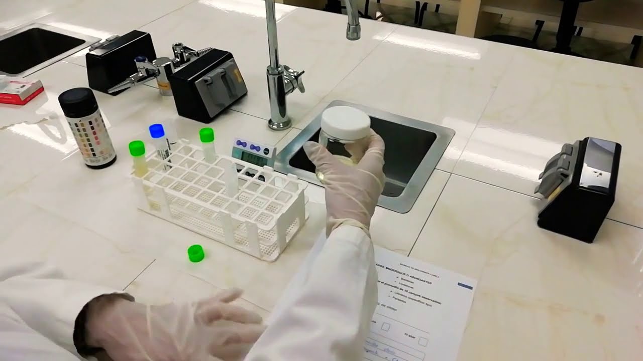 Examen General de Orina.