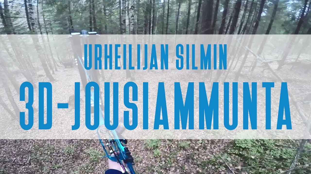 3D-jousiammunta