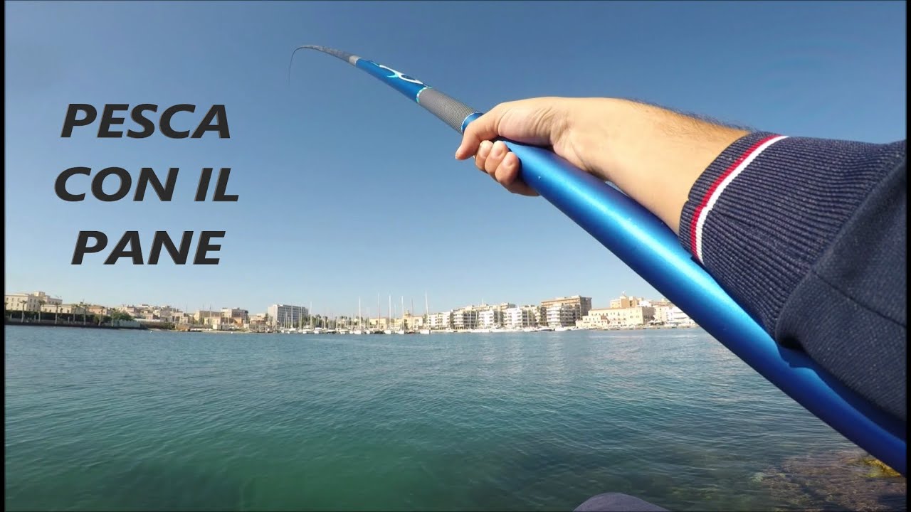 Canna Fissa, Mollica di Pane e ci si Diverte a Pesca con Cefali, Salpe, Occhiate, Saraghi