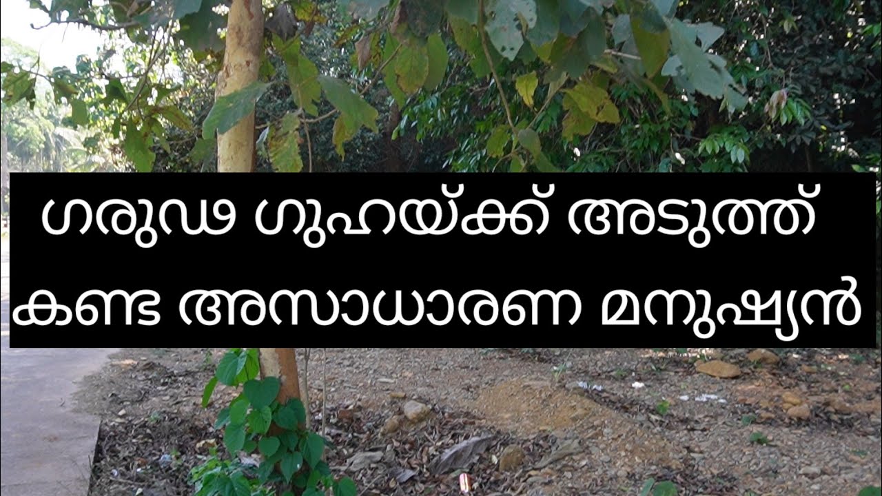 ദേവിയുടെ ഉപാസകൻ