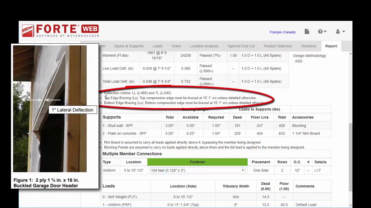 ForteWEB Training: Reports
