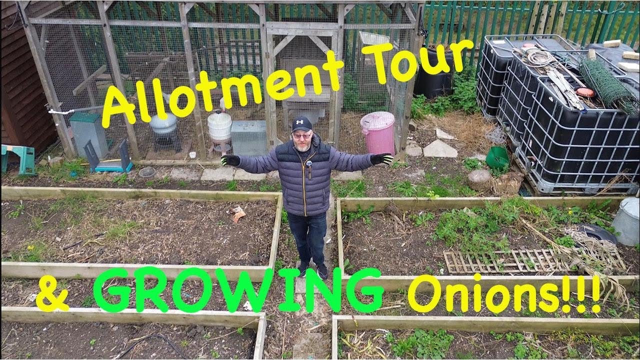 Allotment Dreams & Onion Schemes 🧅 | A Full Tour!