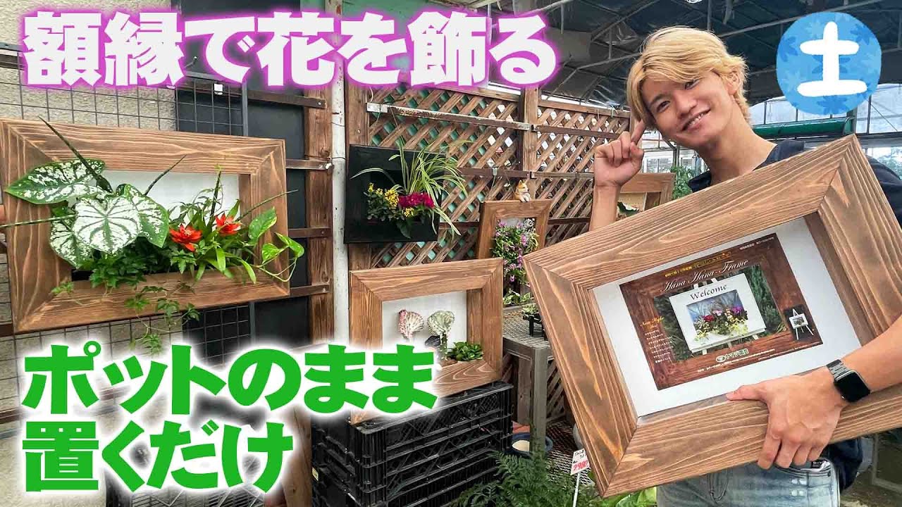 【花と緑のグリーンバレイ】超簡単！額縁型プランターで絵画を描くように植物を飾ろう【グリーンバレイ】