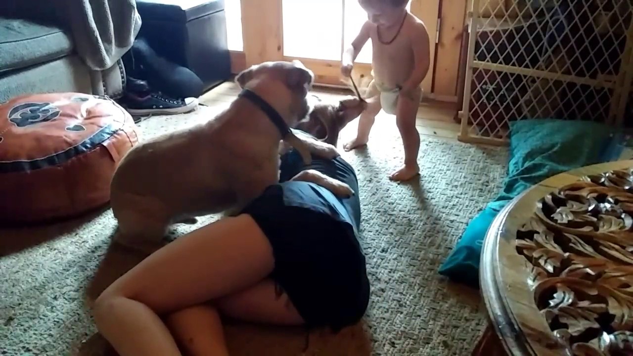 Service Dog Response Training