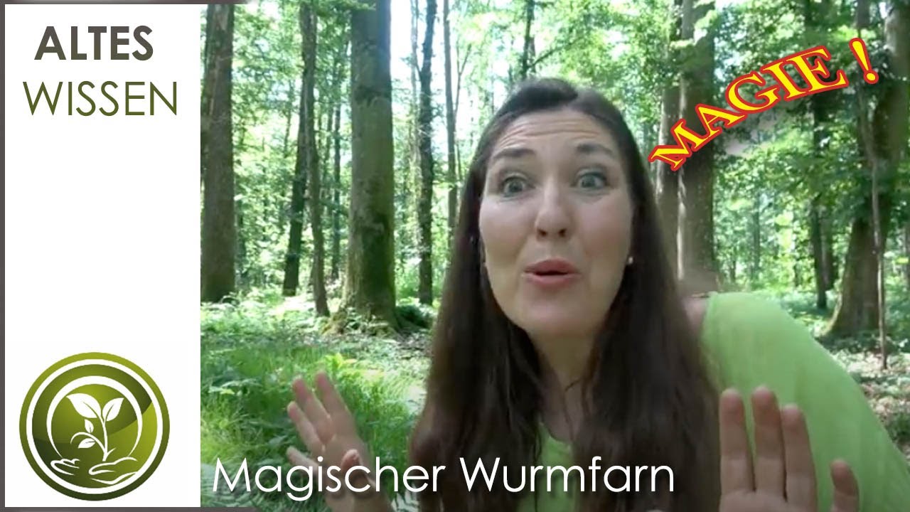 MAGISCHER WURMFARN Pflanzenkunde