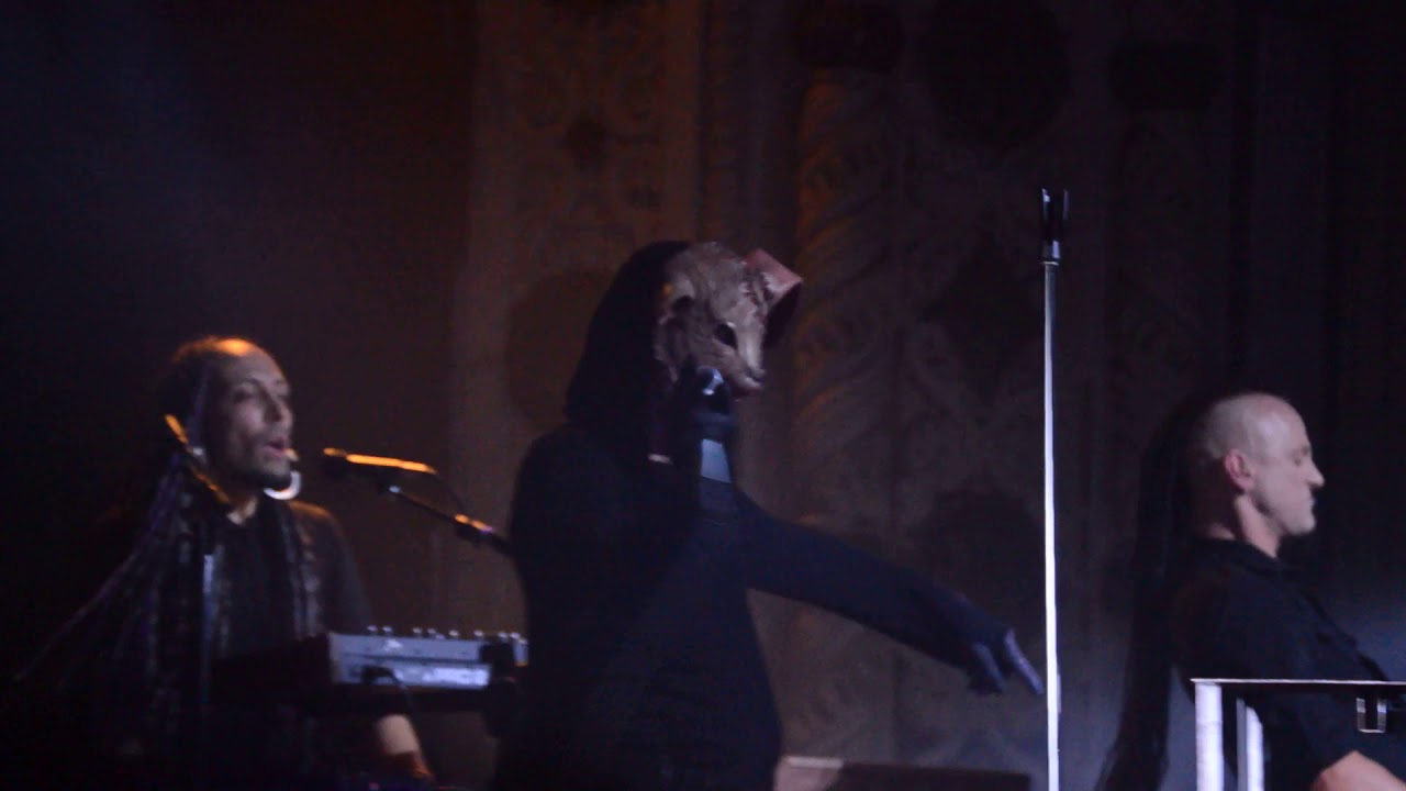 ohGr - Cracker Live at Cold Waves VII