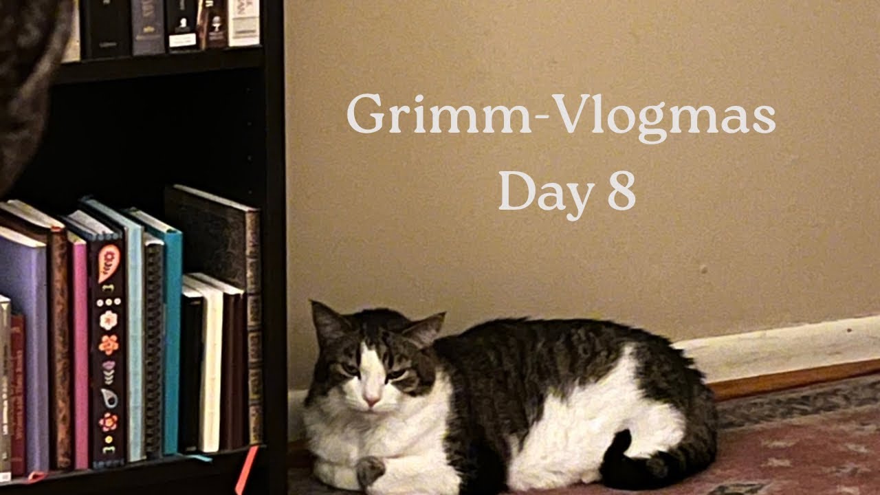 Grimm-Vlogmas day 8 Life with cats
