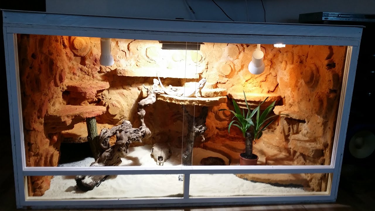 Terrarium Eigenbau für Bartagame