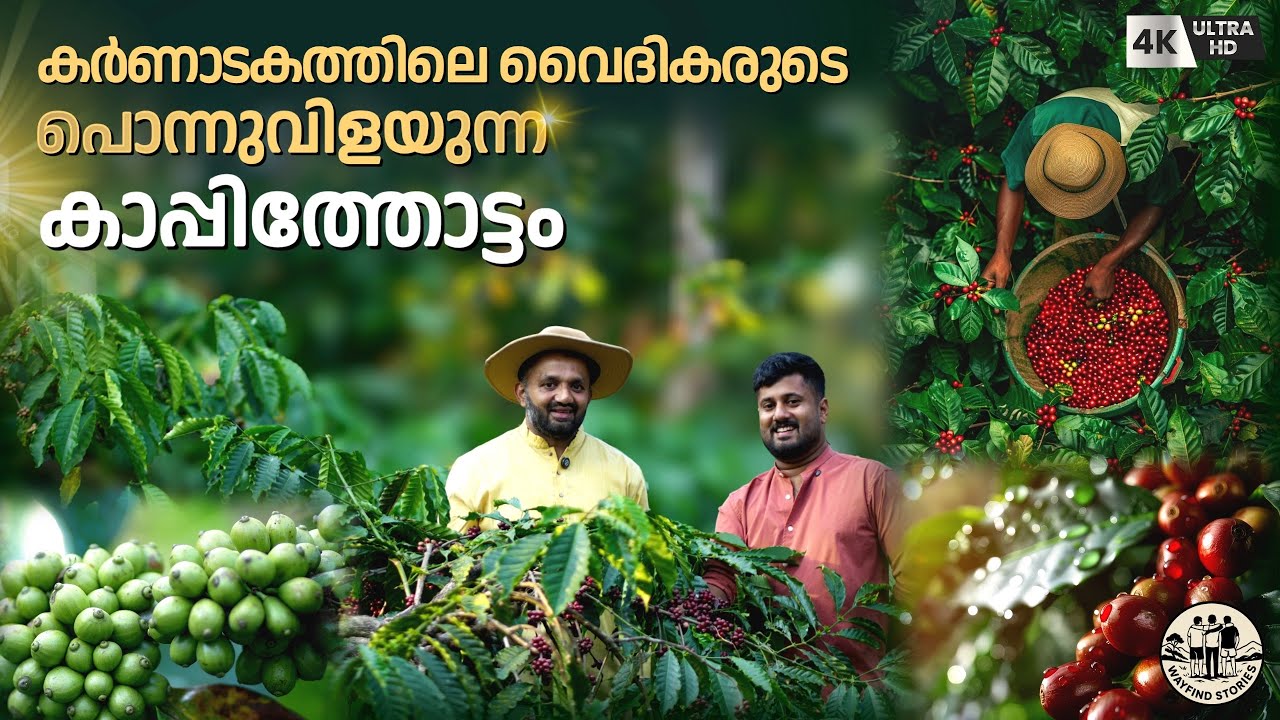 കർണാടകത്തിലെ വൈദികരുടെ പൊന്നുവിളയും കാപ്പിത്തോട്ടം | Karnataka Coffee Plantations | Coffee Farming