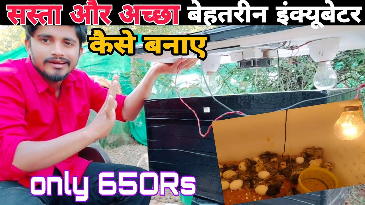 How to Make an Egg Inqubator at Home | कम कीमत मे अच्छा इंक्यूबेटर कैसे बनाए
