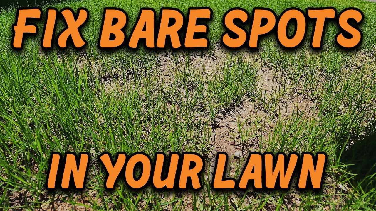 How To Fix Bare Spots In Your Lawn