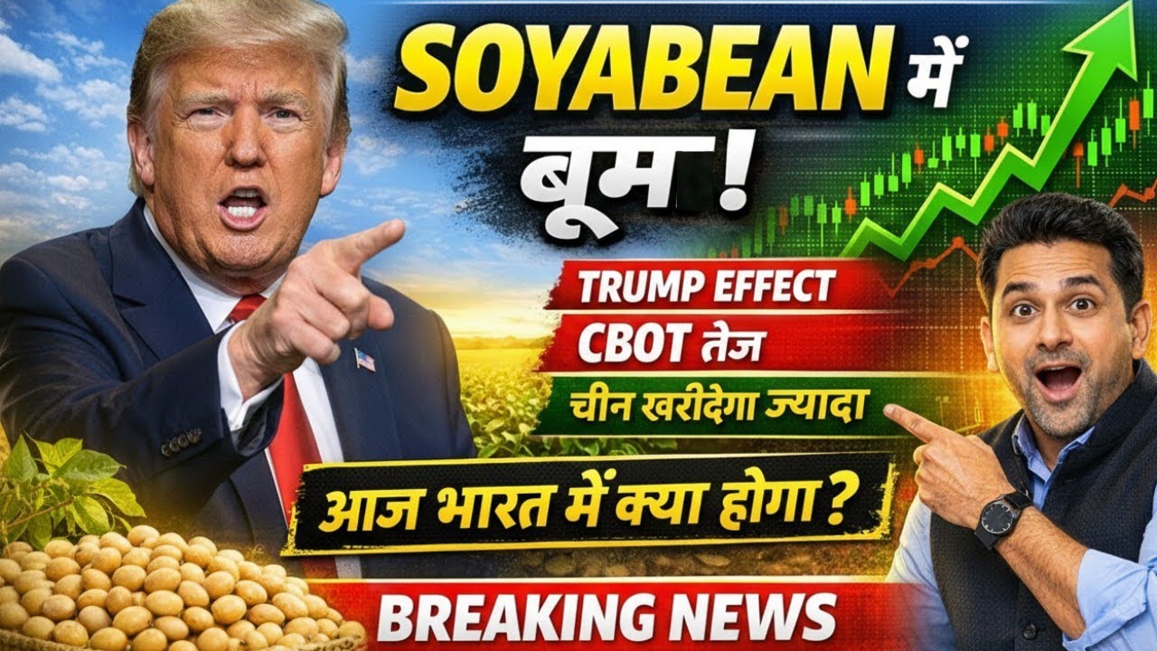  सोयाबीन में जबरदस्त तेजी | China Soybean Purchase USA Impact on India | Edible Oil News