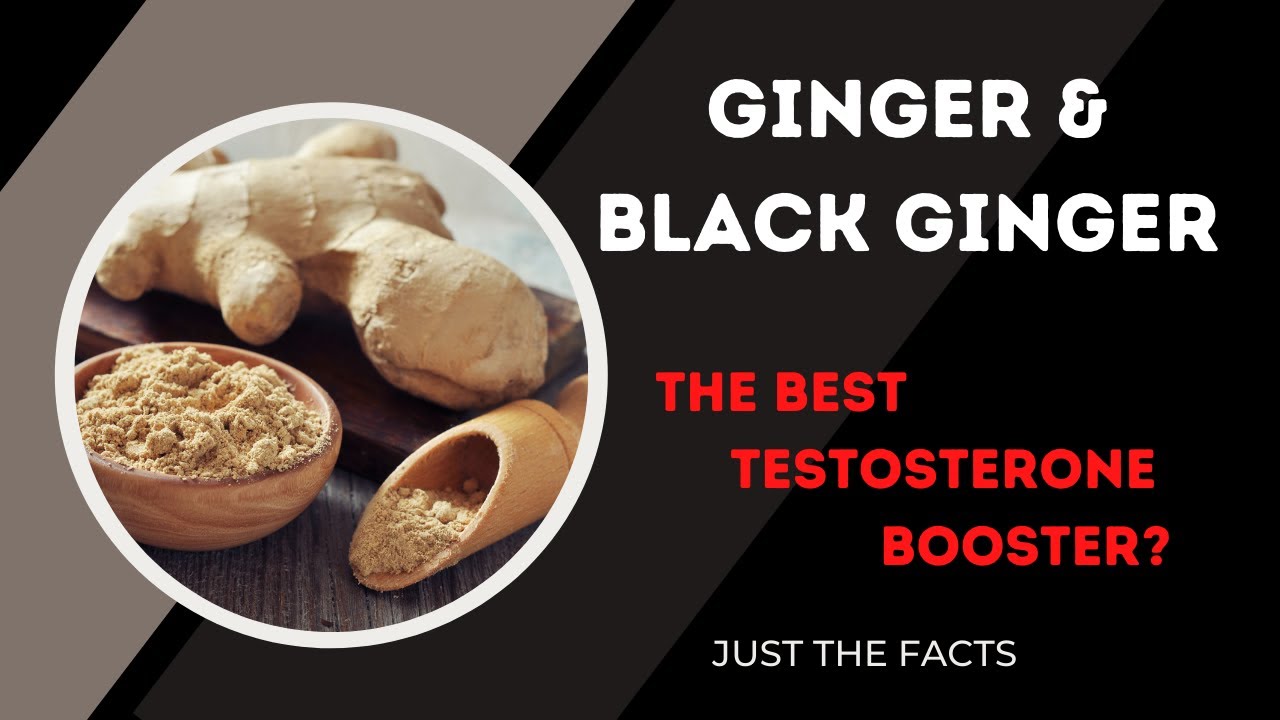 Ginger & Black Ginger and Testosterone Levels?