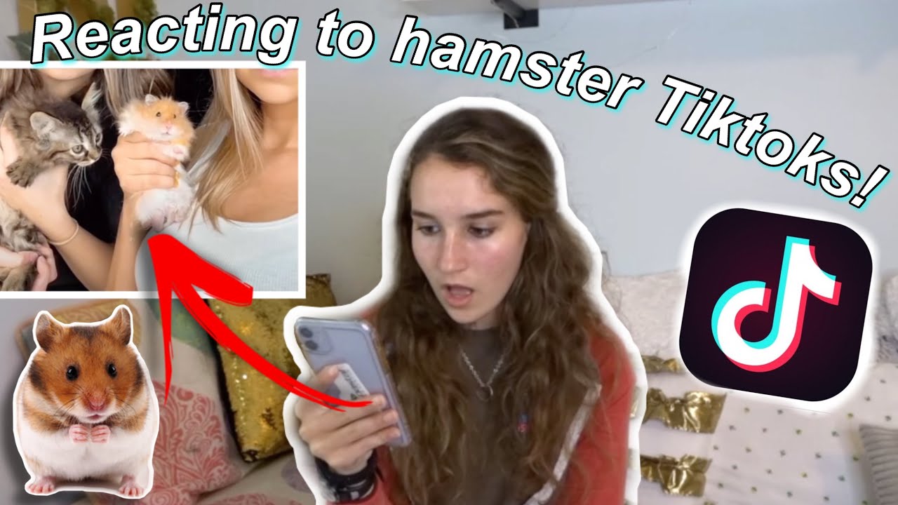 Reacting to Hamster Tiktoks!