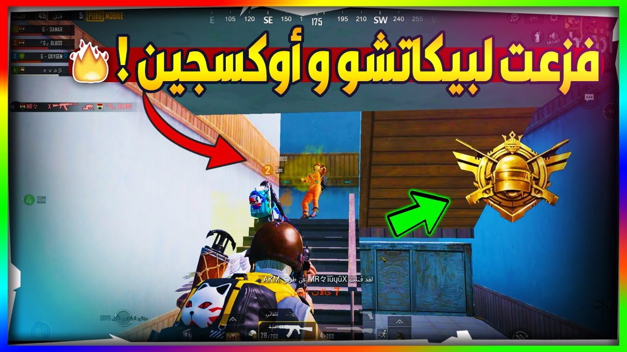 مواجهات داخـل سيرفـر كونـكـر + فزعات لبيكاتشو و أوكسجين (ببجي موبايل)