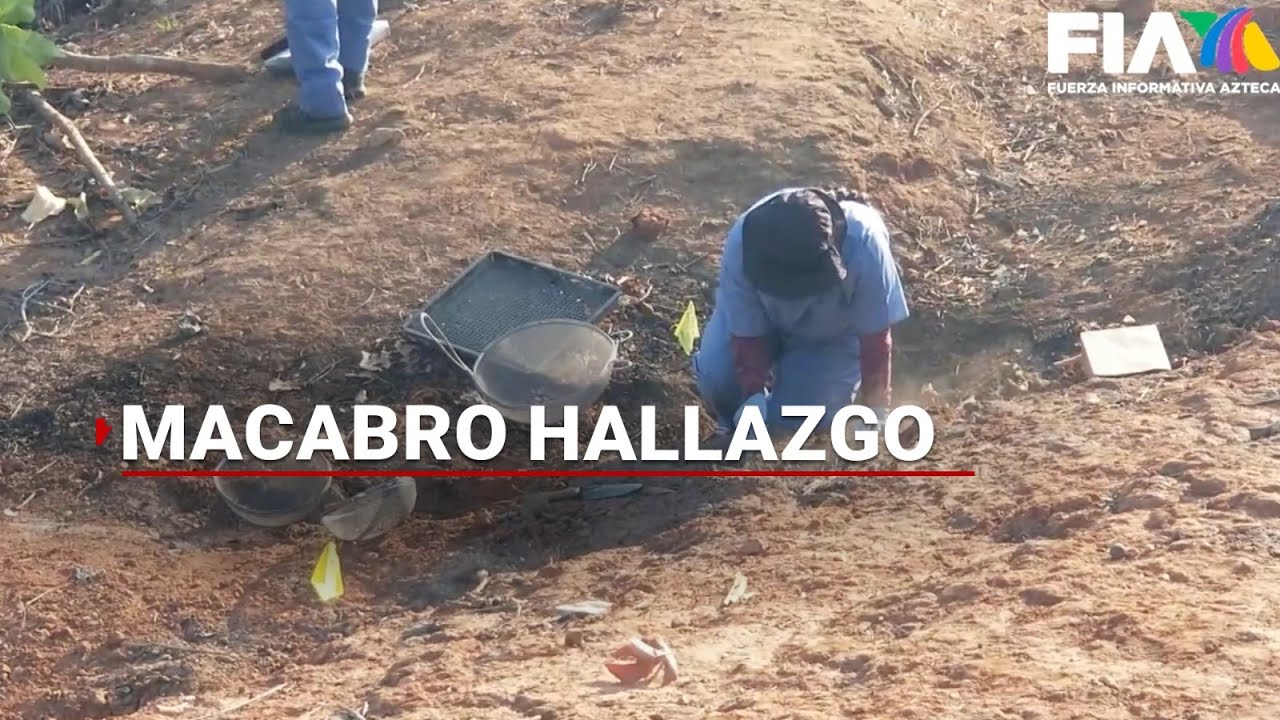 ¡MACABRO HALLAZGO EN VALLARTA! | Encuentran varios restos en fosa clandestina