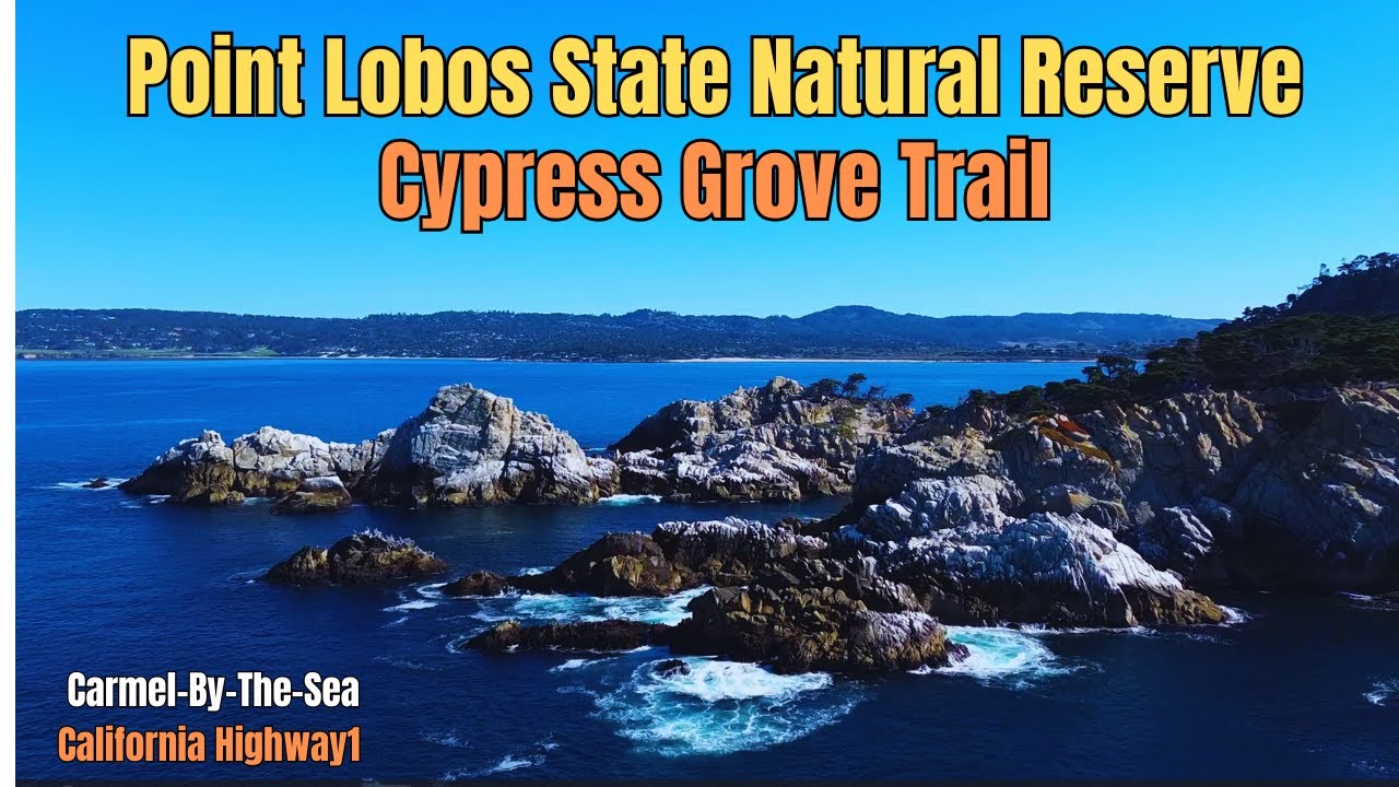 Point Lobos State Natural Reserve | Cypress Grove Trail | Pacific Coast Highway