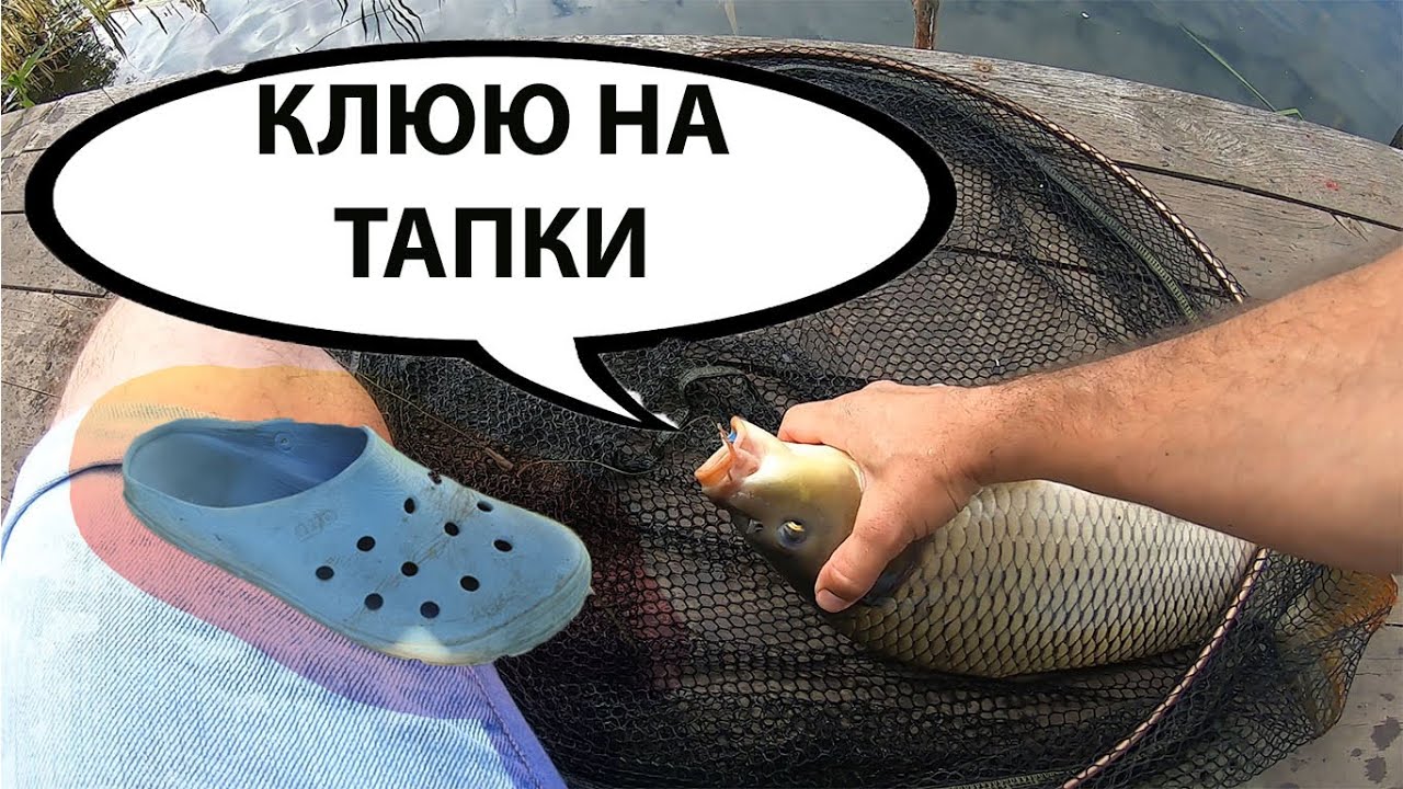 Насадка на карпа. Ловим карпа на тапочки. Как поймать карпа