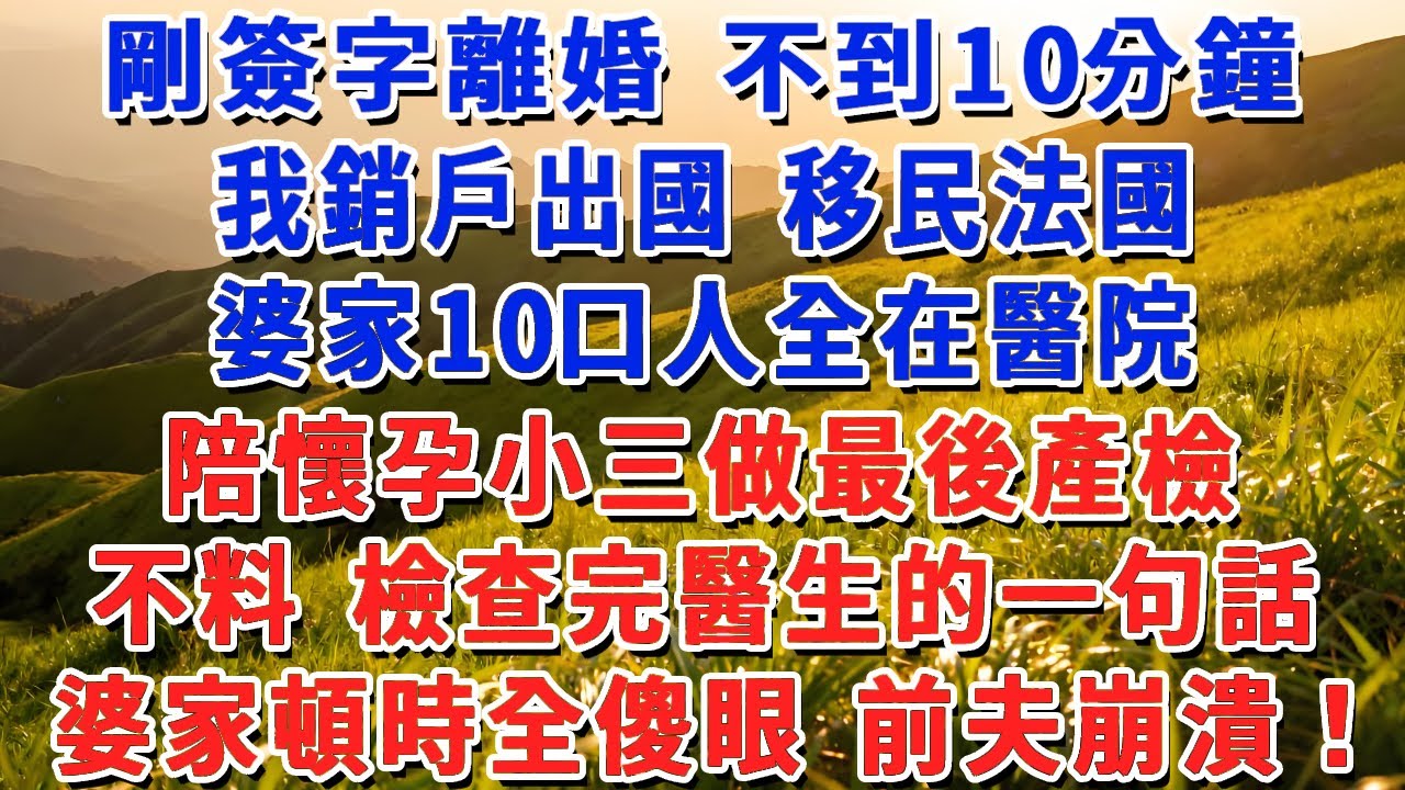 剛簽字離婚 不到10分鐘， 我銷戶出國 移民法國，婆家10口人全在醫院，陪懷孕小三做最後產檢，不料 檢查完醫生的一句話，婆家頓時全傻眼 前夫崩潰！#小娟講故事 #情感故事 #老年生活