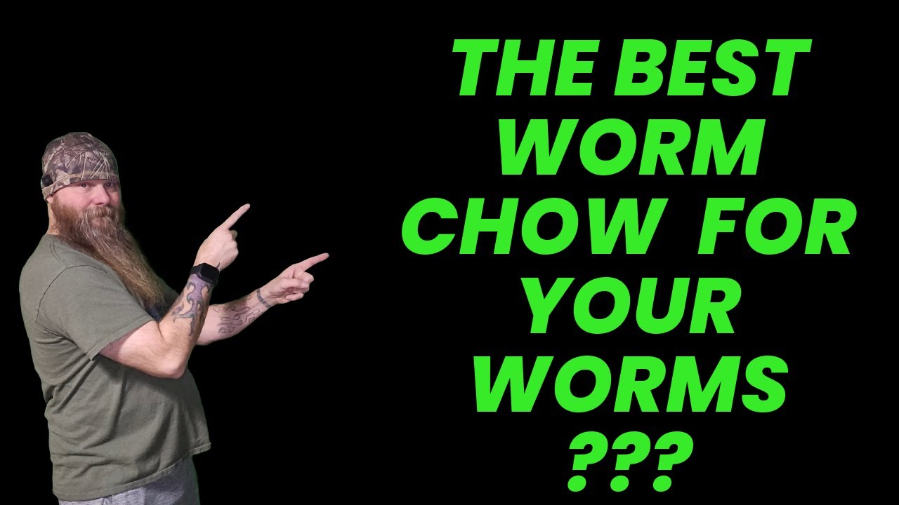 BEST WORM FOOD?