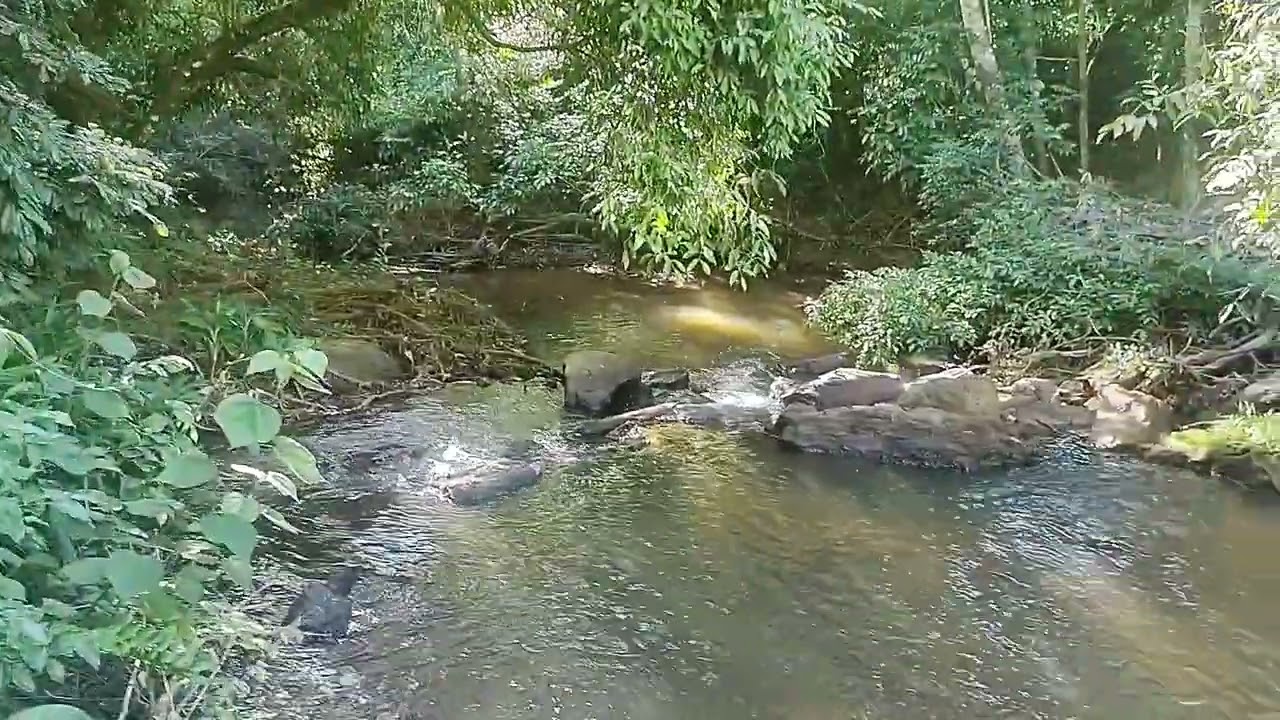Sítio Cantinho do Job em buenos Aires Guarapari ÉS.Olha que lidos Essa cachoeira
