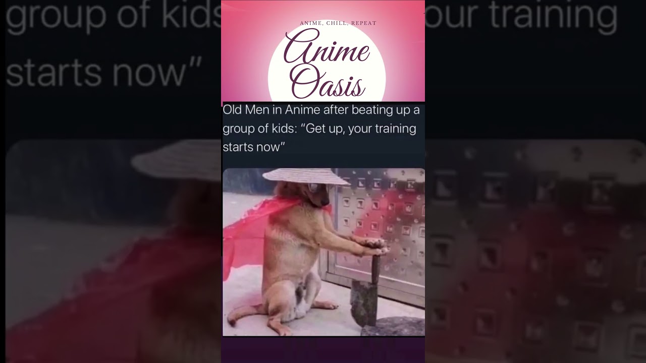 Anime memes 25 | Anime Oasis #meme #animeme #dubs #dubbing #funny #funnymemes #shorts #short