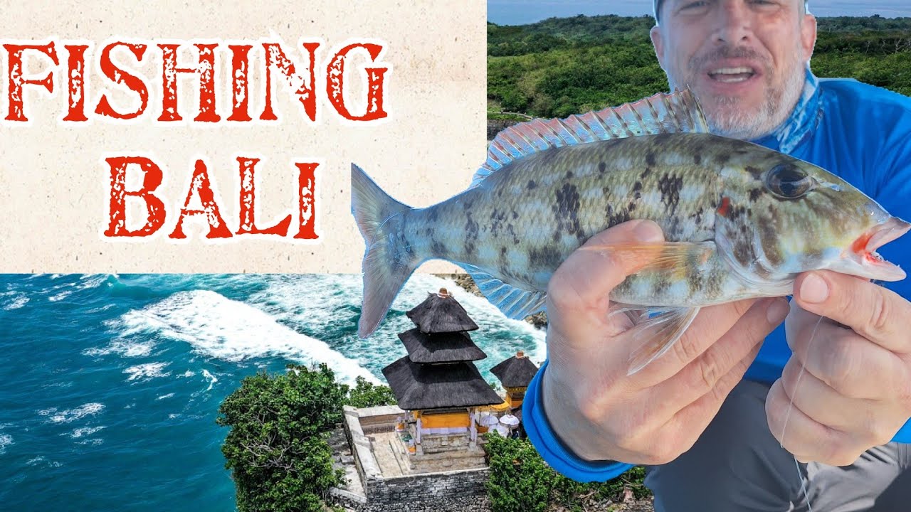 Multi Species Fishing in Bali