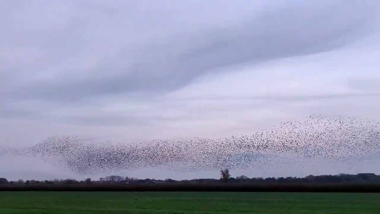 Deil, 2 nov 2022.  3