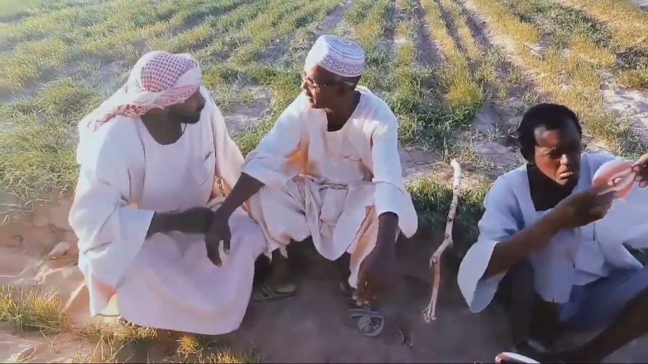 # المجنون ليس هو الا شخص اخترق سقف المعايير 