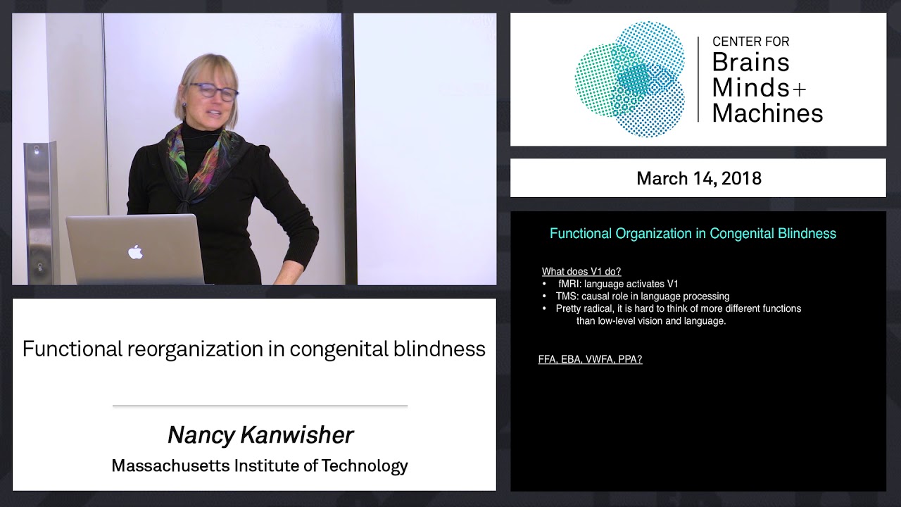8.12 - Functional reorganization in congenital blindness