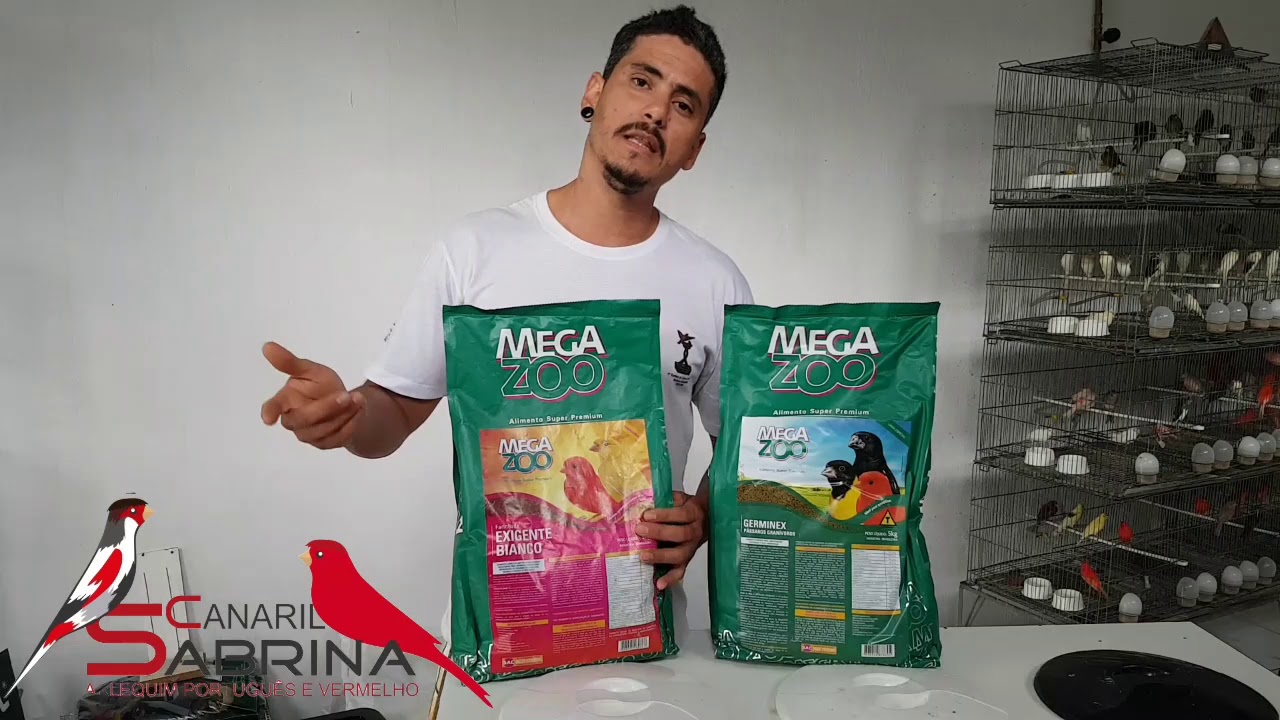 INTRODUZINDO A FARINHADA MEGAZOO NO PLANTEL(CANARIL SABRINA)