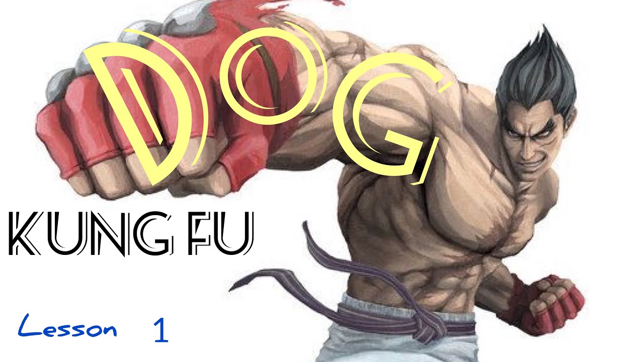 dog kung fu style lesson 1 / unleashed mad dog fighting techniques / 狗拳第一课