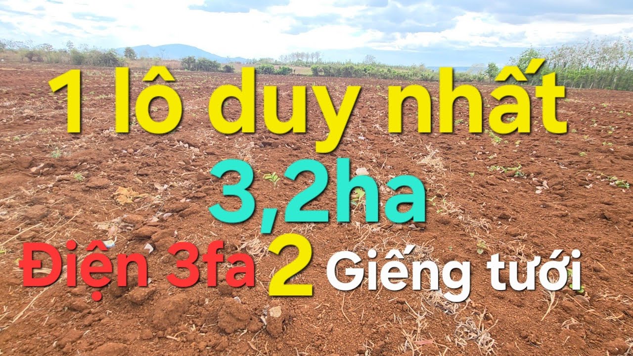 Siêu phẩm 3,2ha Đất đỏ, có 2 giếng tưới, nhà, điện 3fa, lh 08 22 72 76 79. 