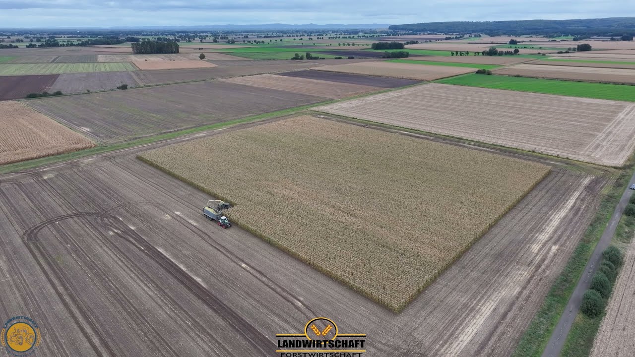1156PS Häcksler räumt das Stück in 1,2St ab! Krone 1180 in Sonderlackierung Maisernte Maishäckseln