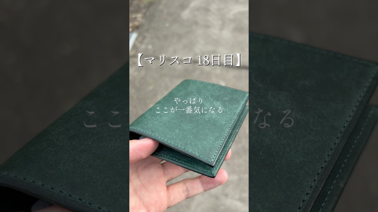 【18日目】レンマ マリスコの使いにくいところ【しかし好き】 #lemma #癒し #革財布 #マリスコ #財布 #fyp