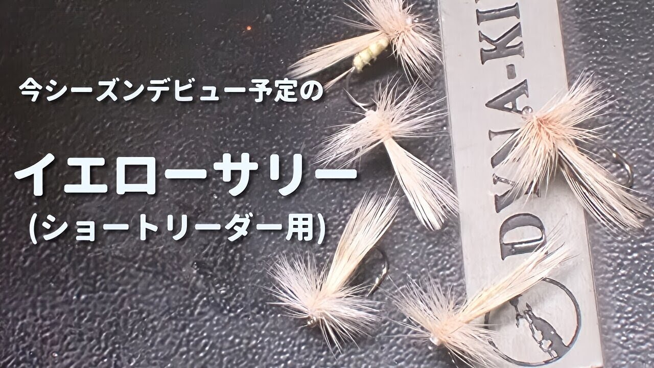 ショートリーダーで使うイエローサリー