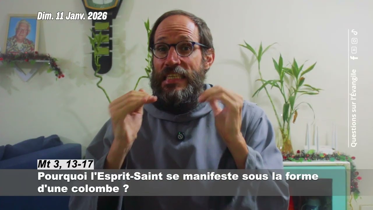 Pourquoi l'Esprit-Saint se manifeste sous la forme d'une colombe ?
