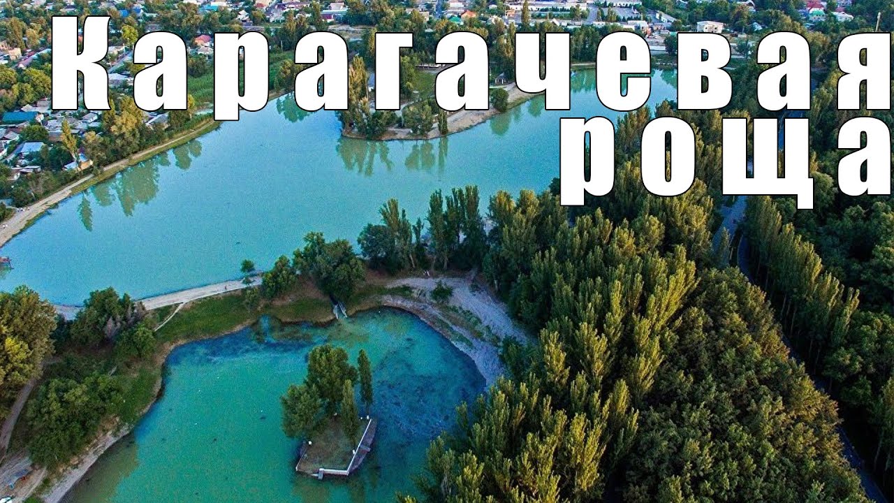 Мой Бишкек. Карагачевая роща