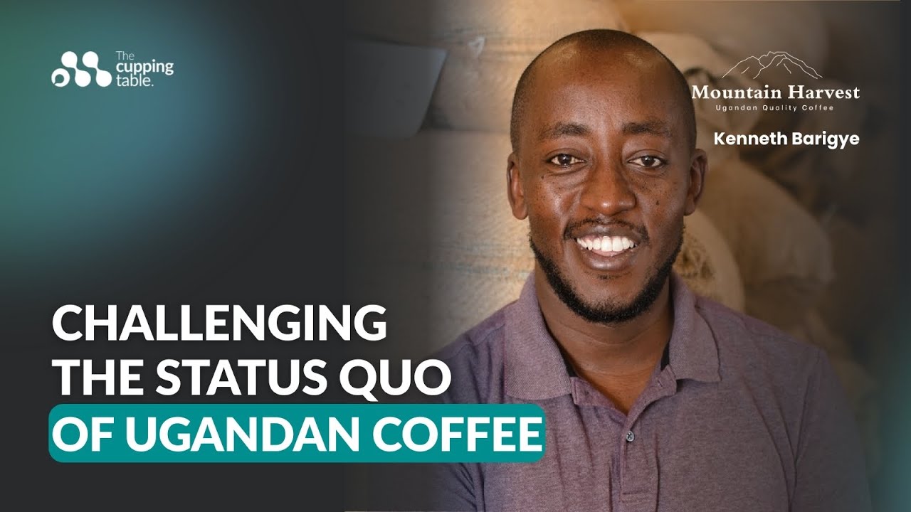 Kenneth Barigye | Challenging the Status Quo of Ugandan Coffee
