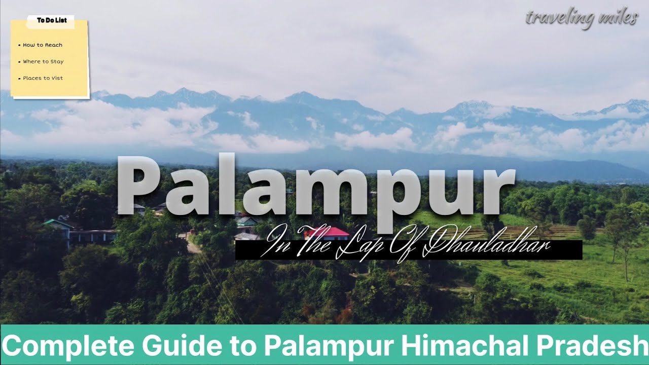 Palampur - Most Underrated Destination In Himachal | Tourist places to Visit | Complete Information