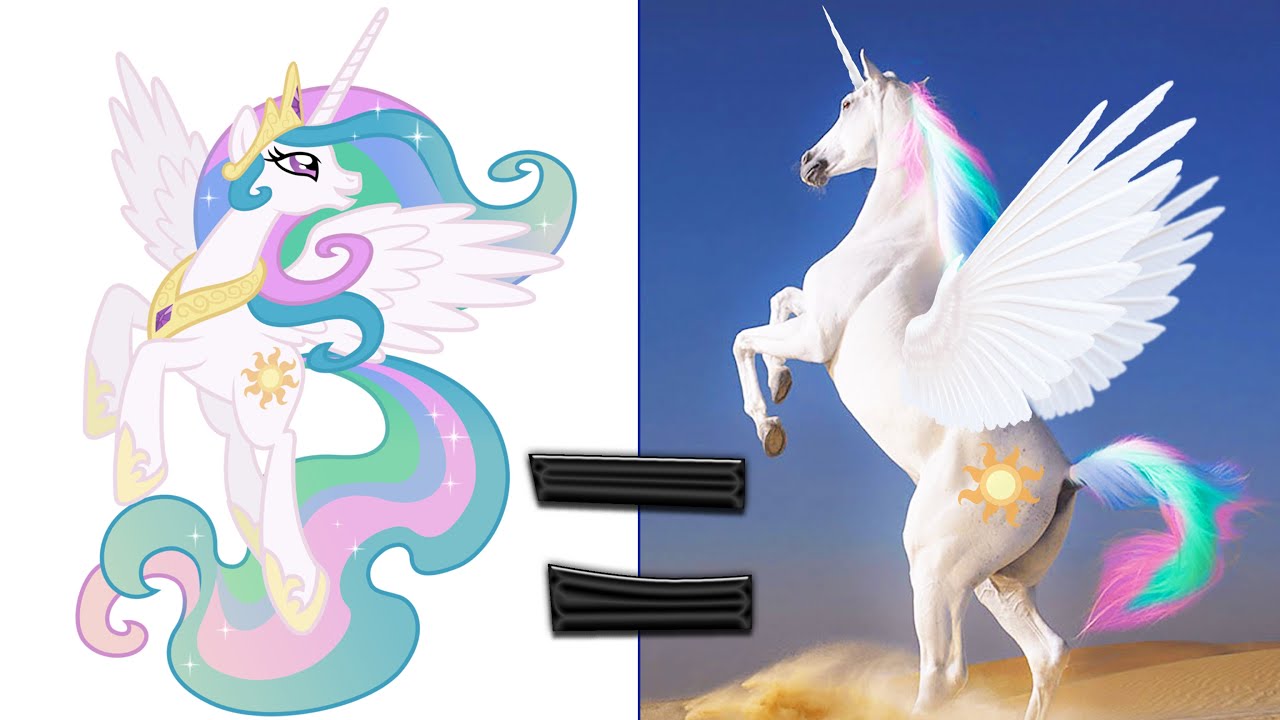 MLP in Real Life!