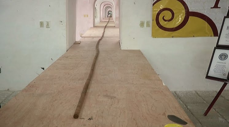 Bizar: de langste sigaar ter wereld