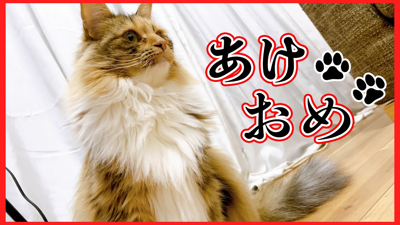 【2021年】明けましておめでとうございます。