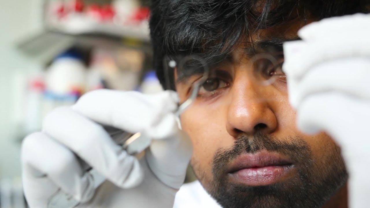 Studying a PhD at the School of Medicine