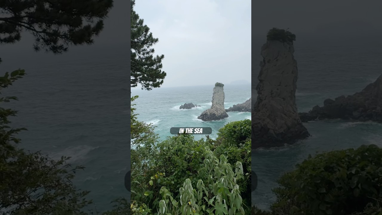 Welcome to Seogwipo, Jeju Island / Oedolgae, Gangjeongcheon & Memil Guksu