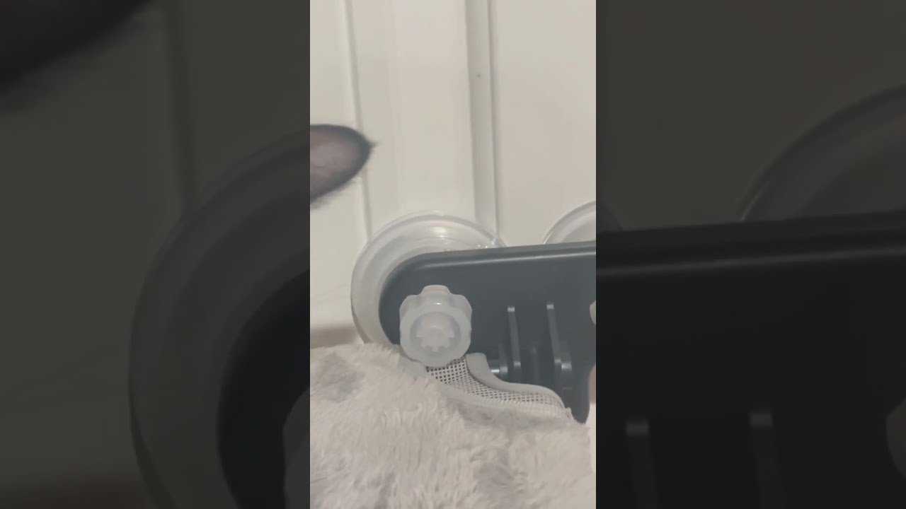 Ellasdan Cat Window Perch