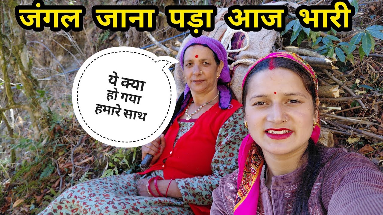 बड़ी मुश्किल से पहुंचे घर || Pahadi lifestyle vlogs || Ravina Rawat Vlogs  || 